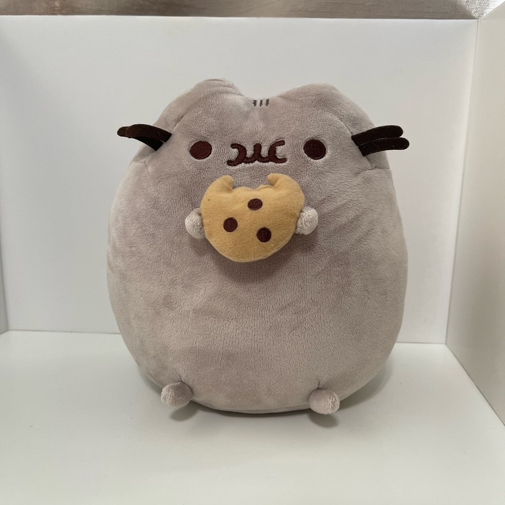 Pusheen with Cookie